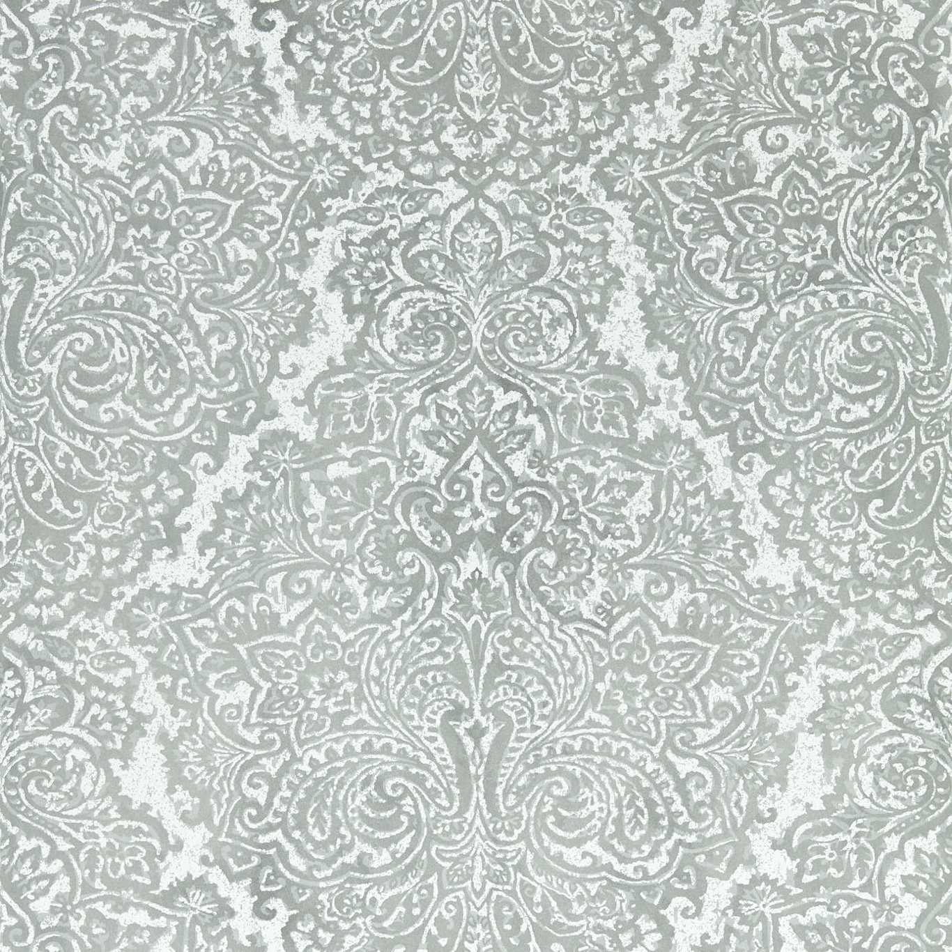 Aurelia  112611